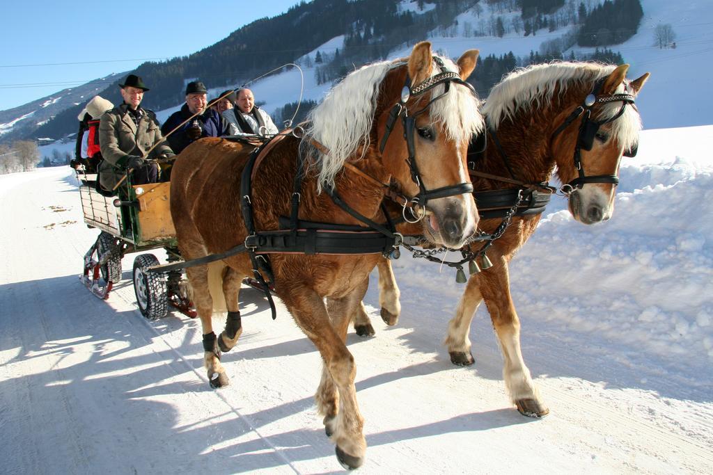Haus Alpina Ski In & Ski Out Schladming Exteriör bild