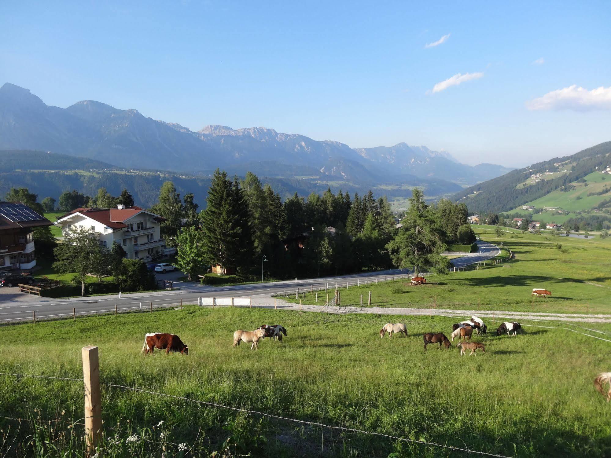 Haus Alpina Ski In & Ski Out Schladming Exteriör bild