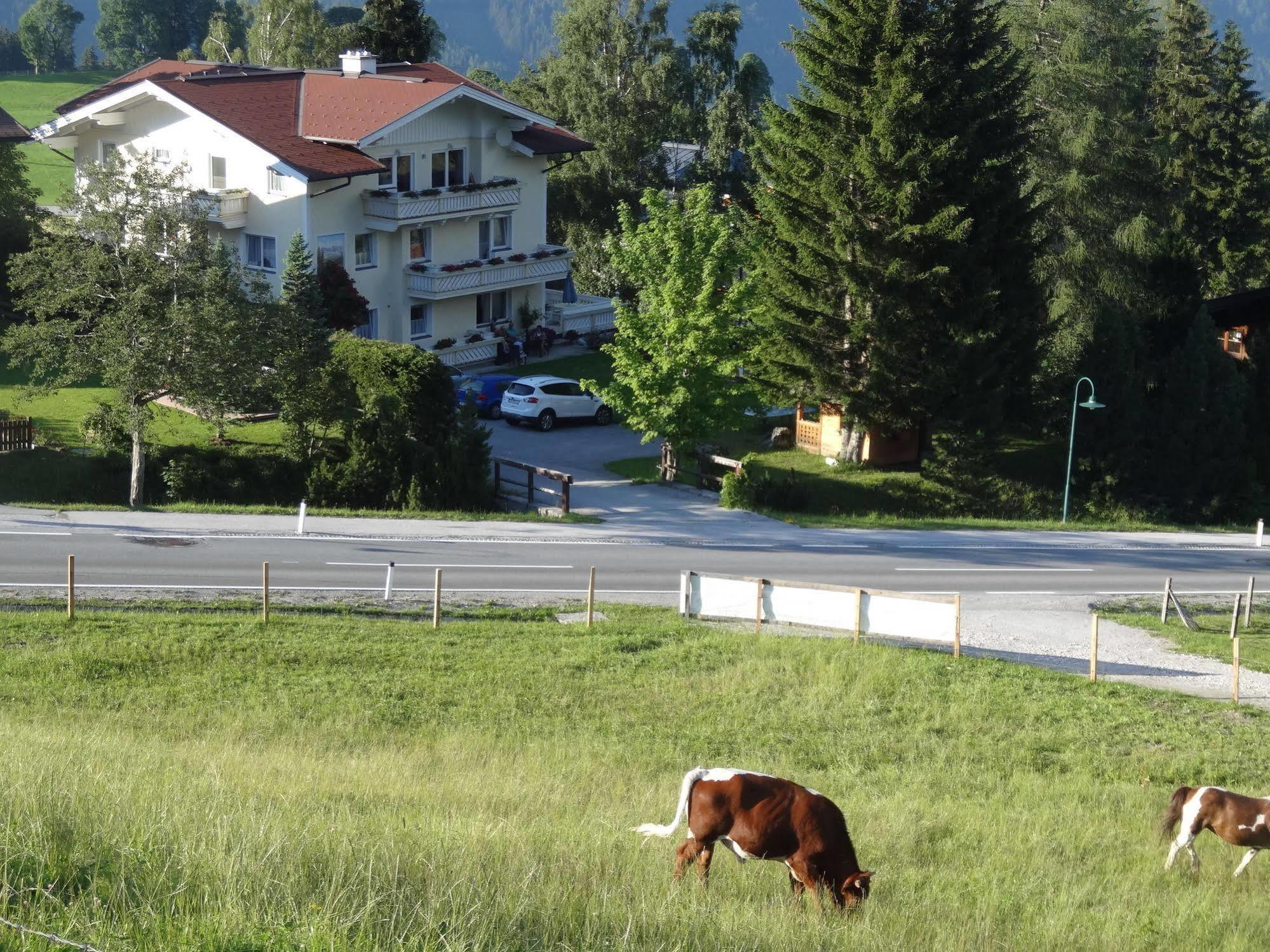 Haus Alpina Ski In & Ski Out Schladming Exteriör bild